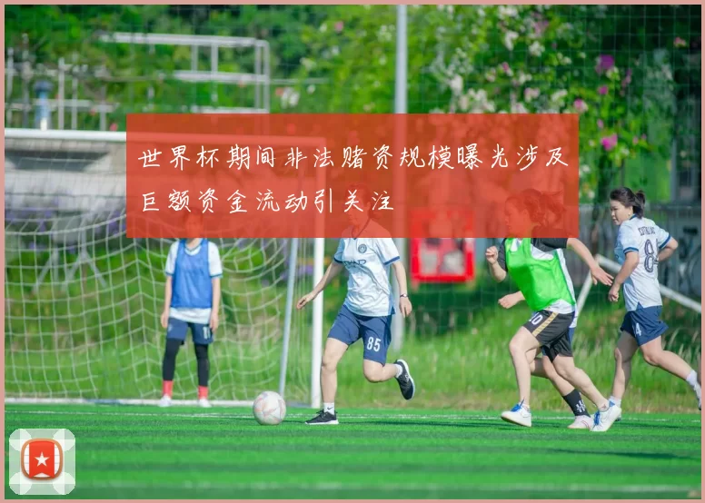 世界杯期间非法赌资规模曝光涉及巨额资金流动引关注