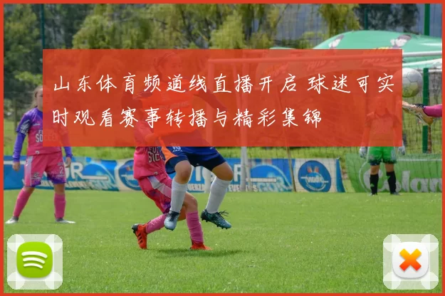 山东体育频道线直播开启 球迷可实时观看赛事转播与精彩集锦
